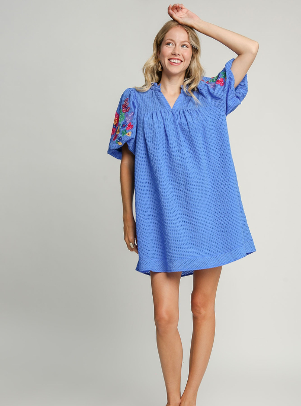 Embroidery Sleeve Dress