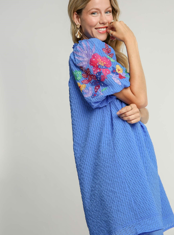 Embroidery Sleeve Dress
