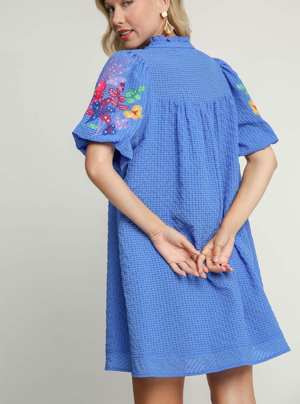 Embroidery Sleeve Dress