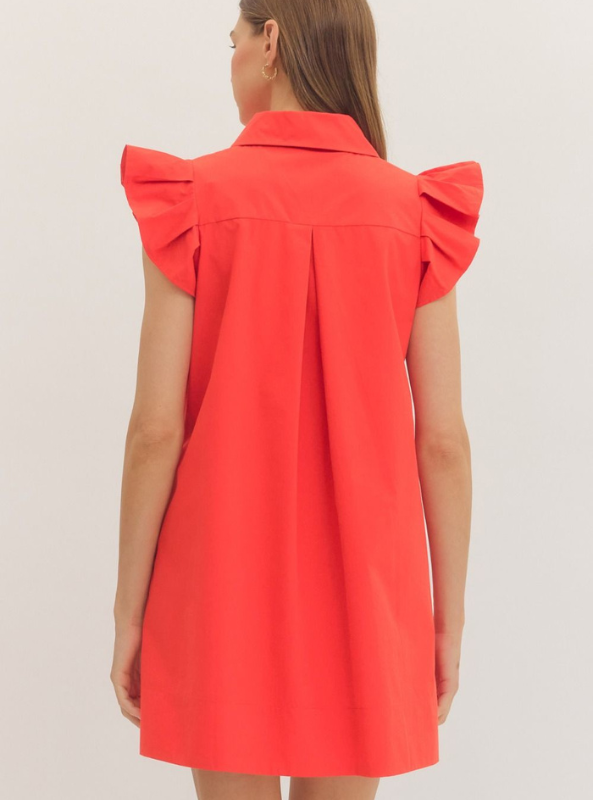 Ruffle Sleeve Mini Dress