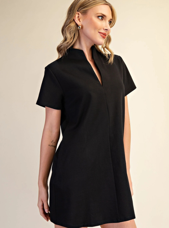Black V-Neck Mini Dress