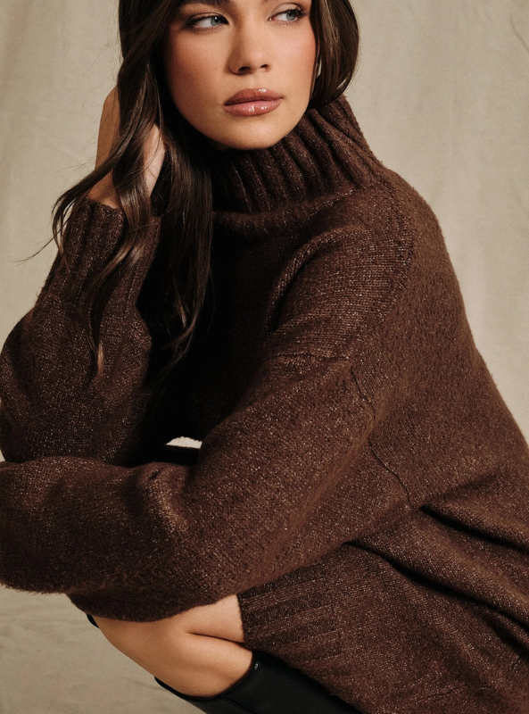 Payton LS Turtleneck Sweater Tunic Dress - Brown