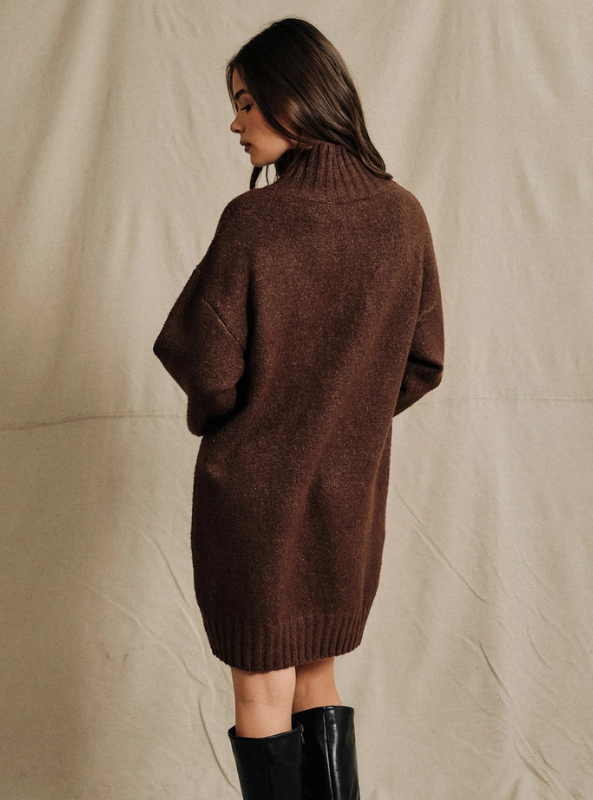 Payton LS Turtleneck Sweater Tunic Dress - Brown