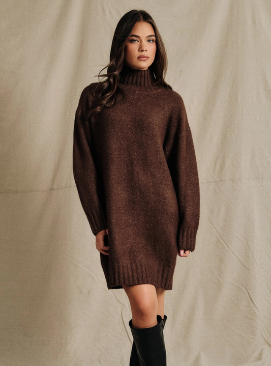 Payton LS Turtleneck Sweater Tunic Dress - Brown