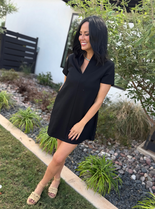 Black V-Neck Mini Dress