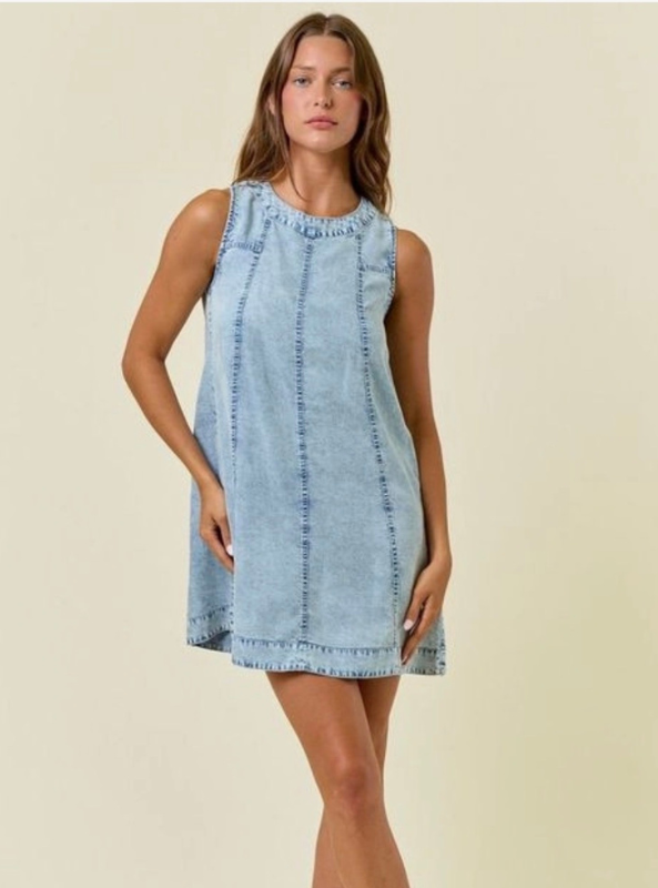 Chambray On The Go Mini Dress