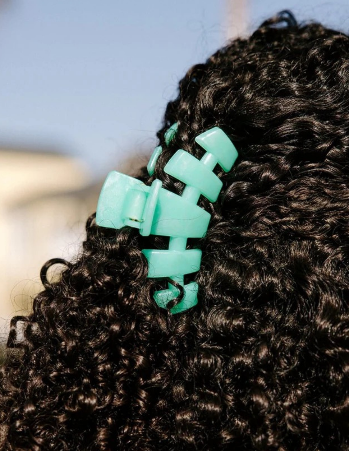 Classic Medium Hair Clip- Spring Slash