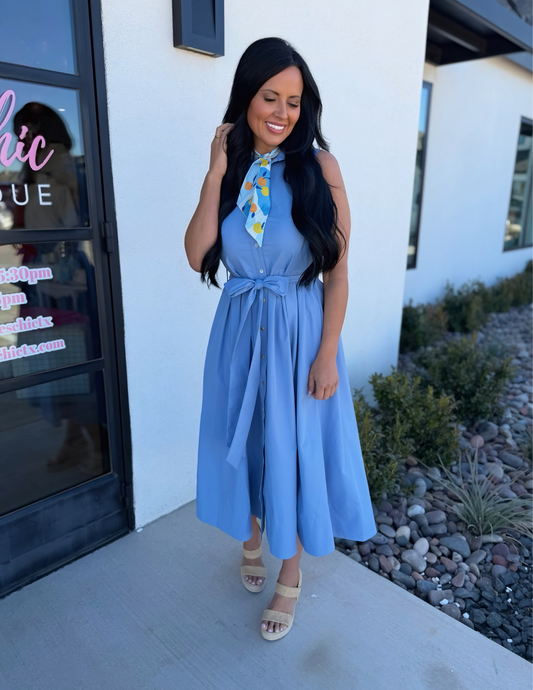 Button Down Flared Dress- Light Blue