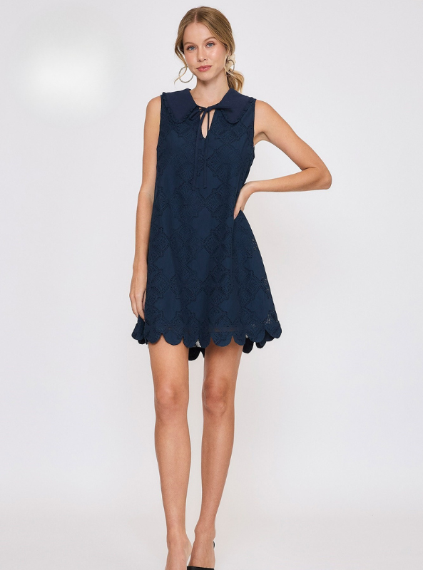 Lace Collar V-Neck Dress