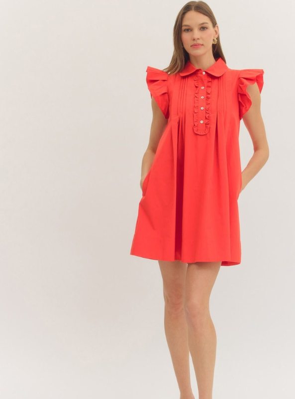 Ruffle Sleeve Mini Dress