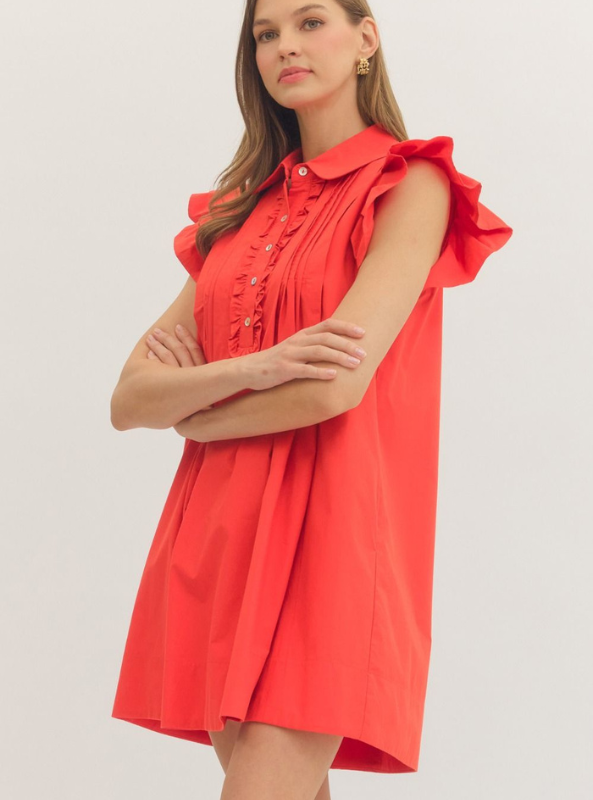 Ruffle Sleeve Mini Dress