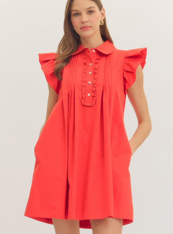 Ruffle Sleeve Mini Dress