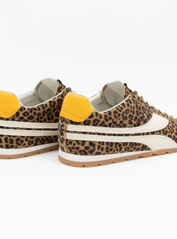 Essex- Leopard