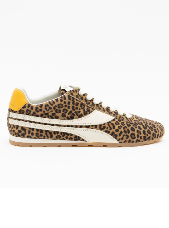 Essex- Leopard