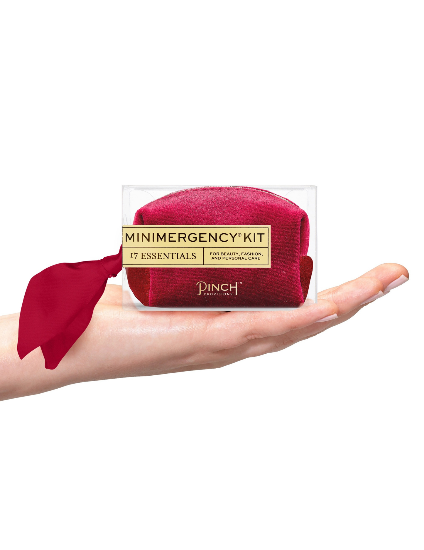 Pinch Provisions- Oxblood Velvet Scarf Minimergency Kit