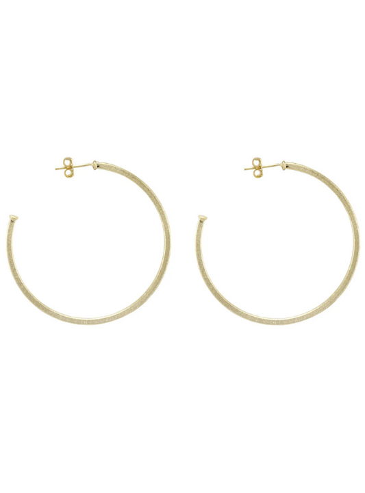 Sheila Fajl- Perfect Hoops