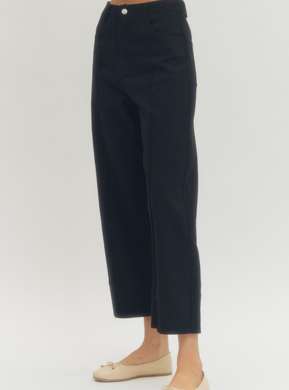 Wide Leg Pintuck Pants- Black