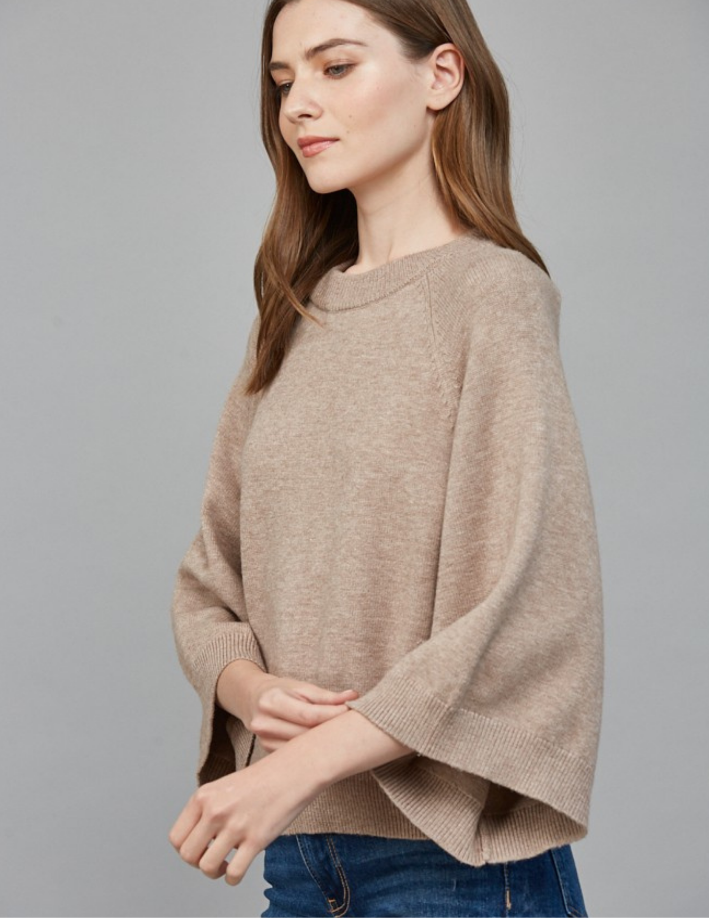 Reglan Crew Neck Sweater