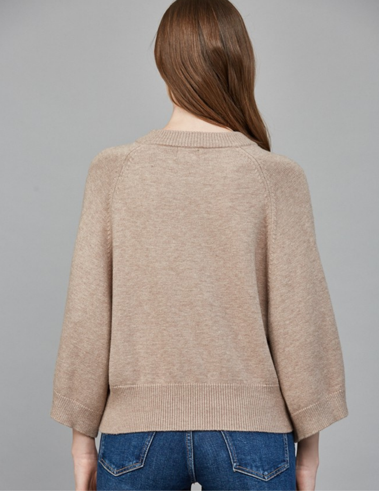 Reglan Crew Neck Sweater