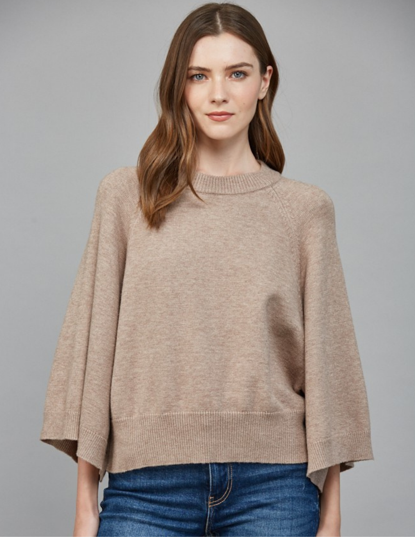 Reglan Crew Neck Sweater