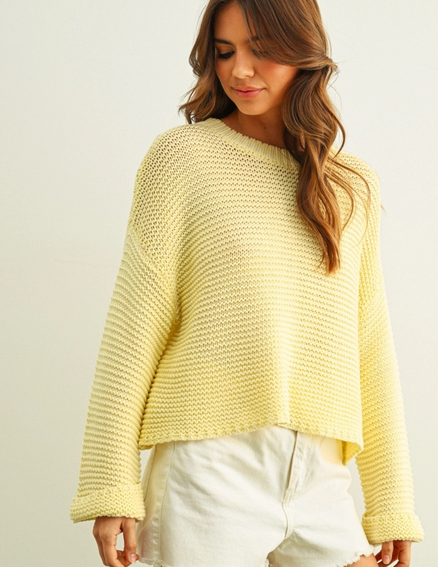 Round Neck Sweater Knitted Top- Pastel Yellow